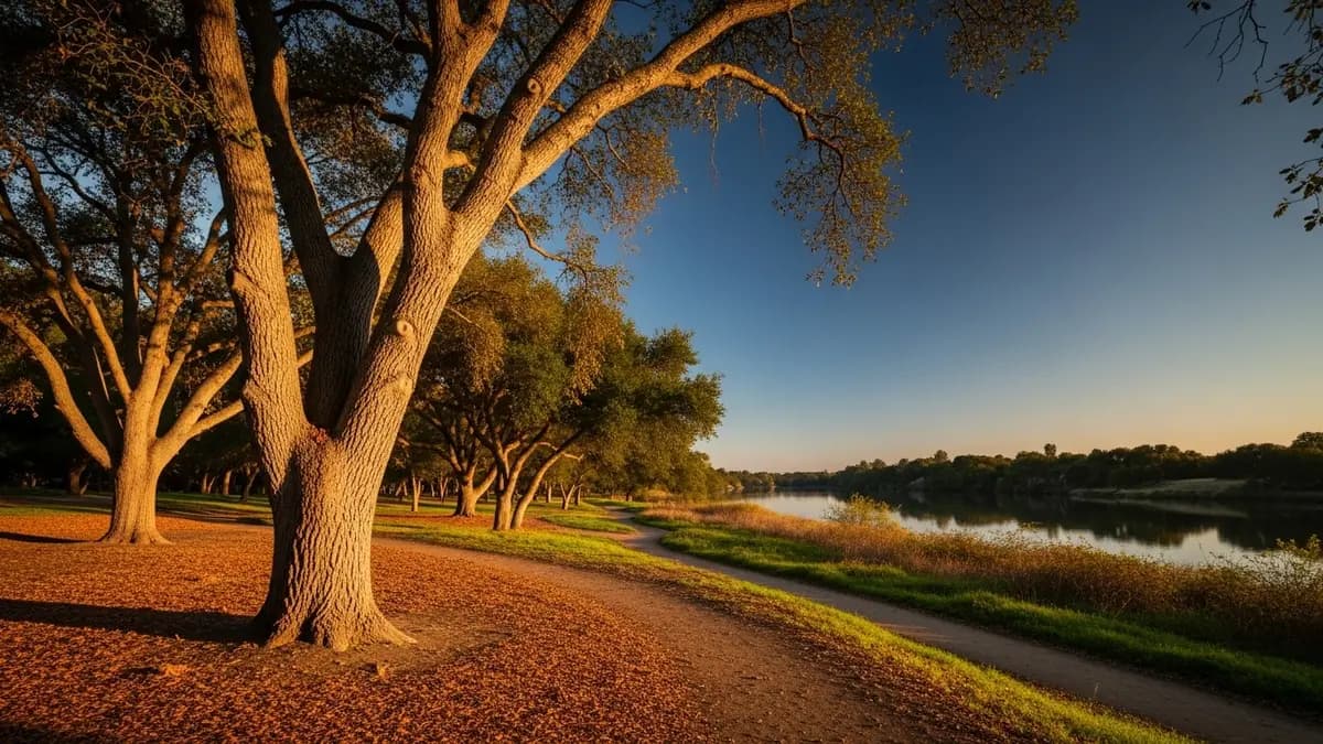 A beautiful golden hour landscape of Ancil Hoffman Park in Carmichael, California, featuring grand oak trees, a natural trail, and the distant American River Parkway under a soft blue sky.